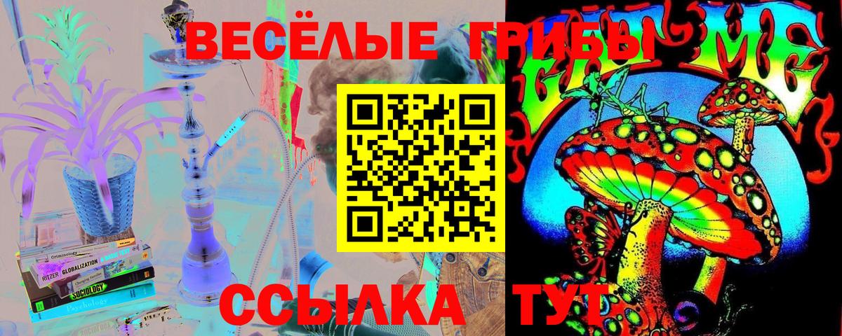 Псилоцибиновые грибы GOLDEN TEACHER  Вход с VPN  Жигулёвск  Псилоцибиновые грибы мицелий 