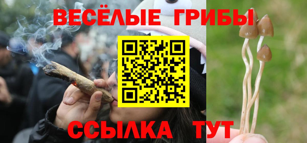 Псилоцибиновые грибы мухоморы Жигулёвск